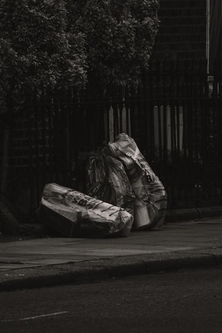 Affordable commercial rubbish removal for Penge shops and offices