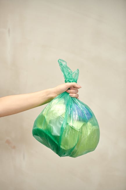 Same day rubbish collection Penge what to expect